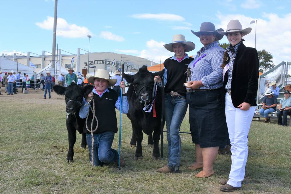 Grand Champion Lowline Female: Lik Lik Platinum and her calf, led by Remy Barron and Amity Campbell, and judge Tammie Robinson and associate judge Grace Thompson. 