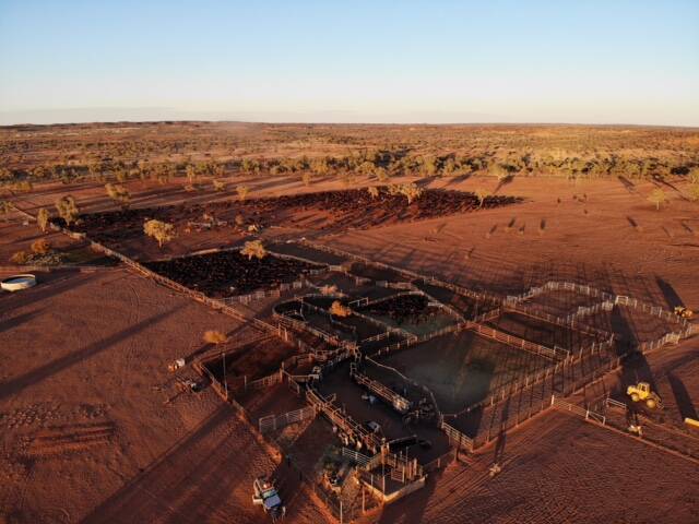 The Atkins cattle yards at Marqua Station in the Northern Territory. Picture: Sam Lingard 