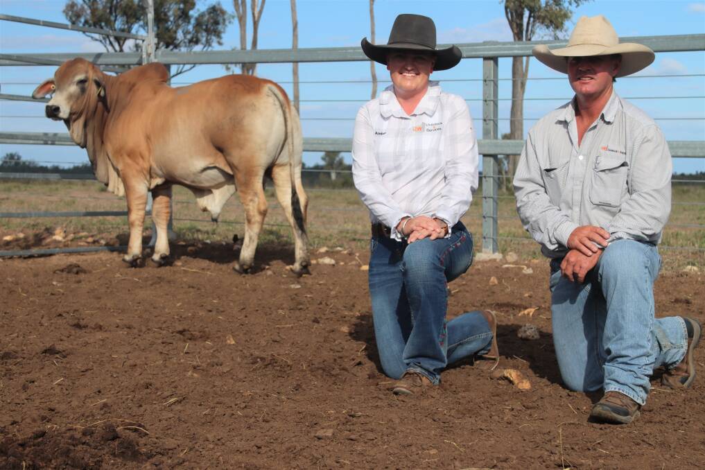 RECORD SALE: Top priced bull Lot 41 (ALC 20-3914), sold for $31,500 to repeat buyers Keith and Roxy Holzwart, Avago Station, Northern Territory, and is pictured with auctioneer James Whitehead and Amber Rees, JW Livestock Services. 