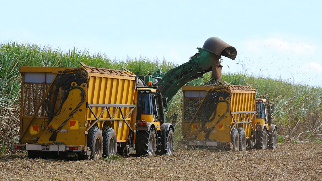 Harvesters on the ground around the Atherton Tablelands district for the start of the 2023 cane season. Picture supplied by Canegrowers 