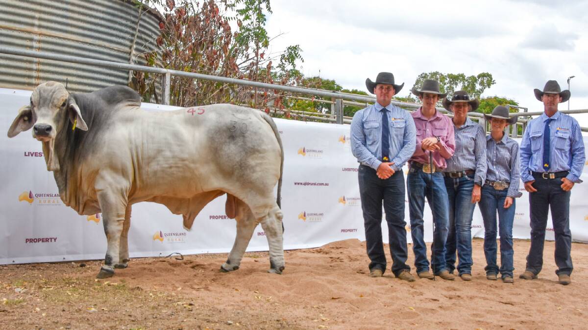First time Clermont buyer Cathy Fernley purchased Wallace Mr Unlimited through Elite Livestock Auctions online. 