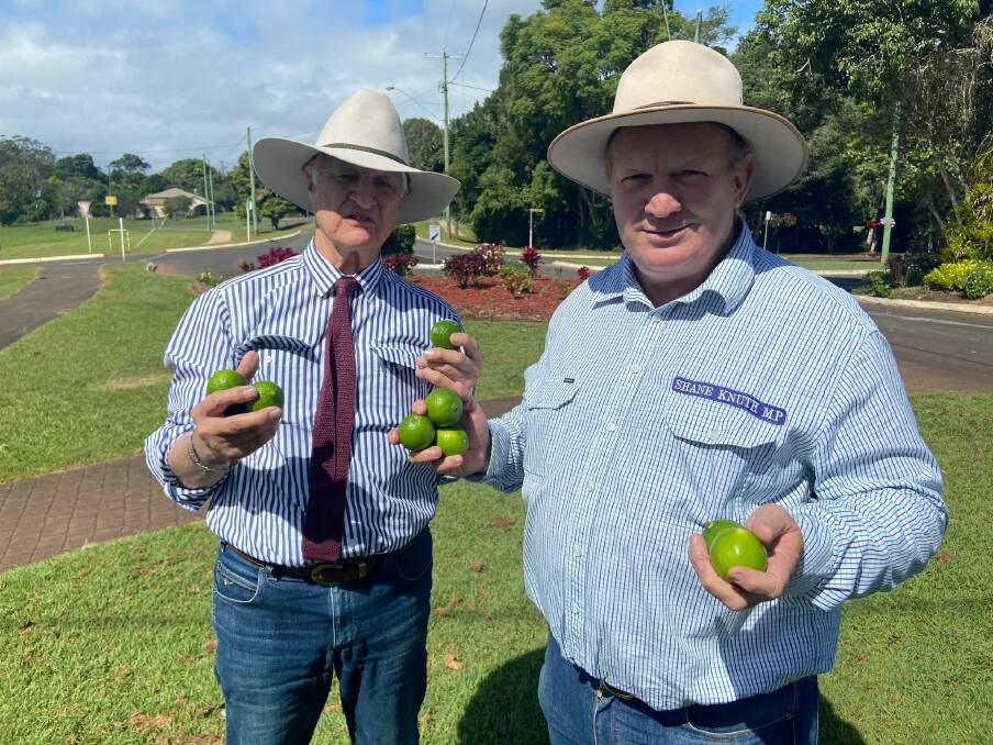 Federal Member for Kennedy Bob Katter and state Hill MP Shane Knuth have slammed the federal government's plan to import limes from Mexico. 