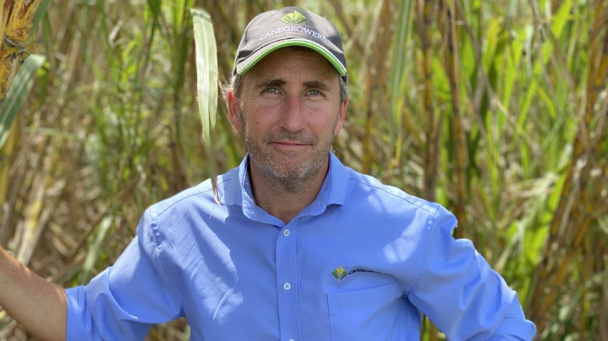 Opportunities: Canegrowers CEO Dan Galligan urge that some funding be directed to cooperative landholder programs such as Smartcane BMP. 