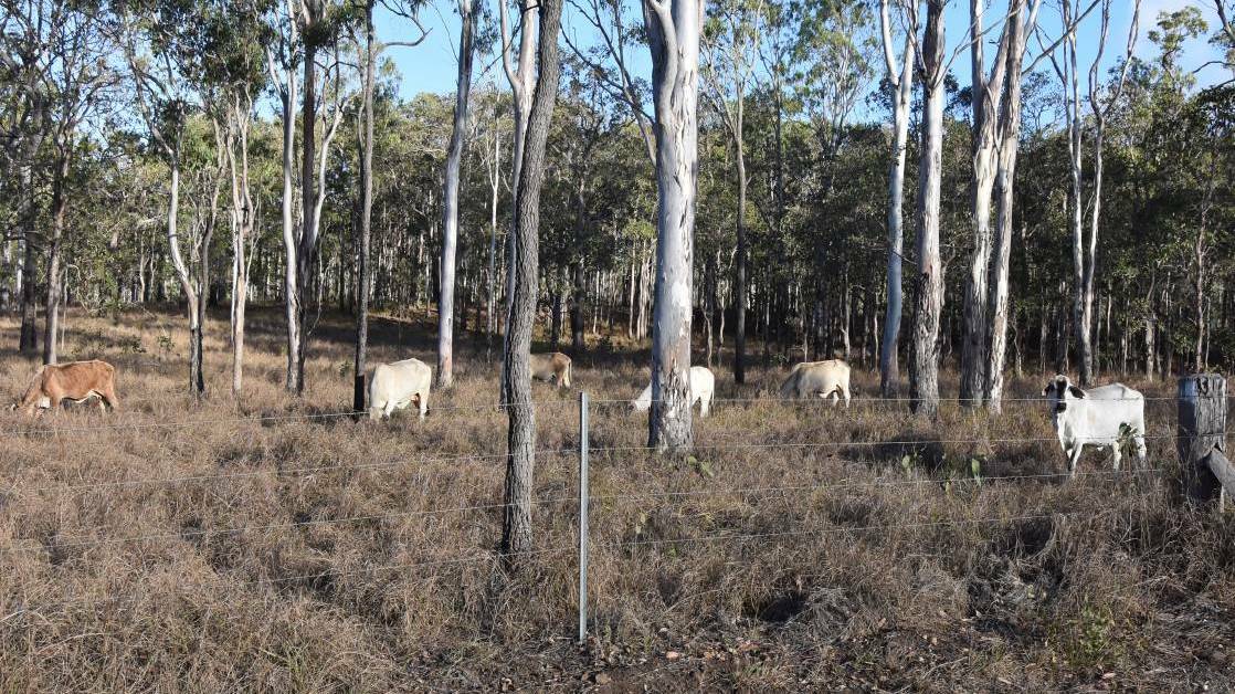 Long-held grazing properties Wooroora and Glen Gordon Stations, 15km south of Ravenshoe, were identified because of its 'excellent wind resource' and 'proximity' to the grid. Picture: Ben Harden 