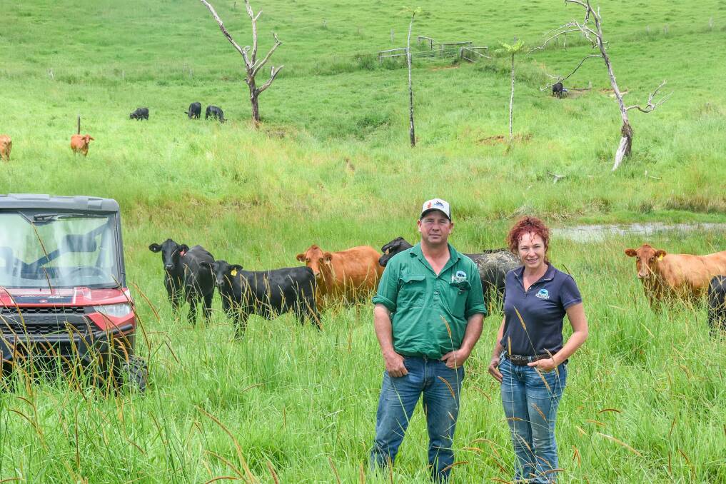 Isaac and Mandie say they're both thrilled to exhibit some of Millstream Springs' top heifers at this year's Far North Queensland stud cattle competitions.