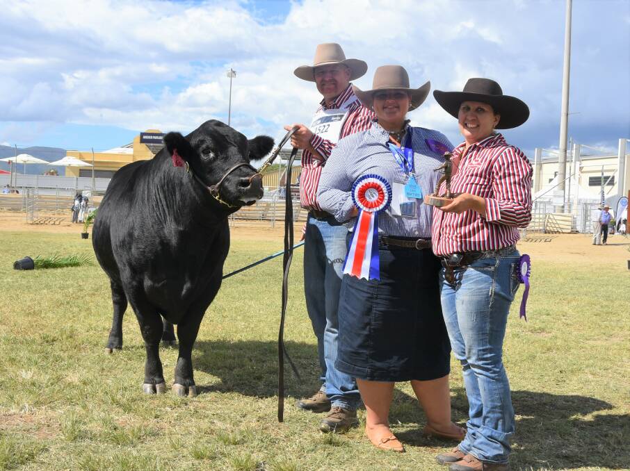 Grand Champion South Devon Bull: Kildare Quince (B) led by James and Kathryn McUtchen, Jambili Pastoral Company, with judge Tammie Robinson, and exhibited on behalf of Rick and Sue McDouall, Kildare Grazing Company.