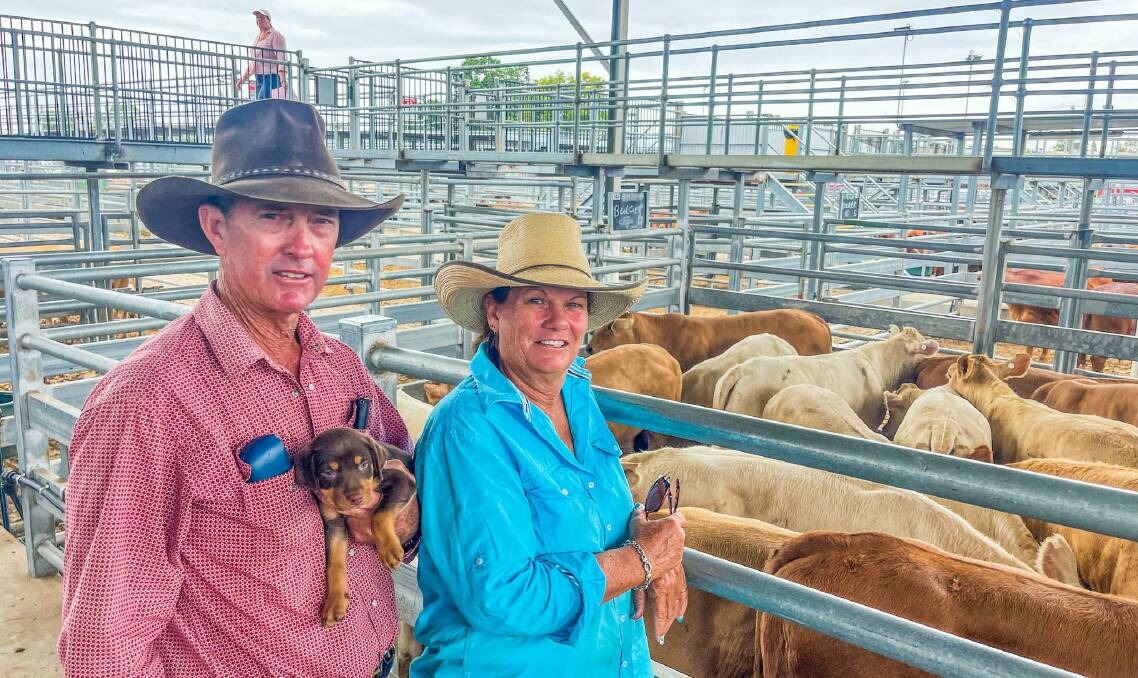 Andrew and Samantha Bulger and their new muster dog Rusty, of Willows, sold 17 Charolais cross steers, weighing 265kg, through Michael McGuire & Company (Livestock), Emerald, to make 522c/kg or $1388/head. 