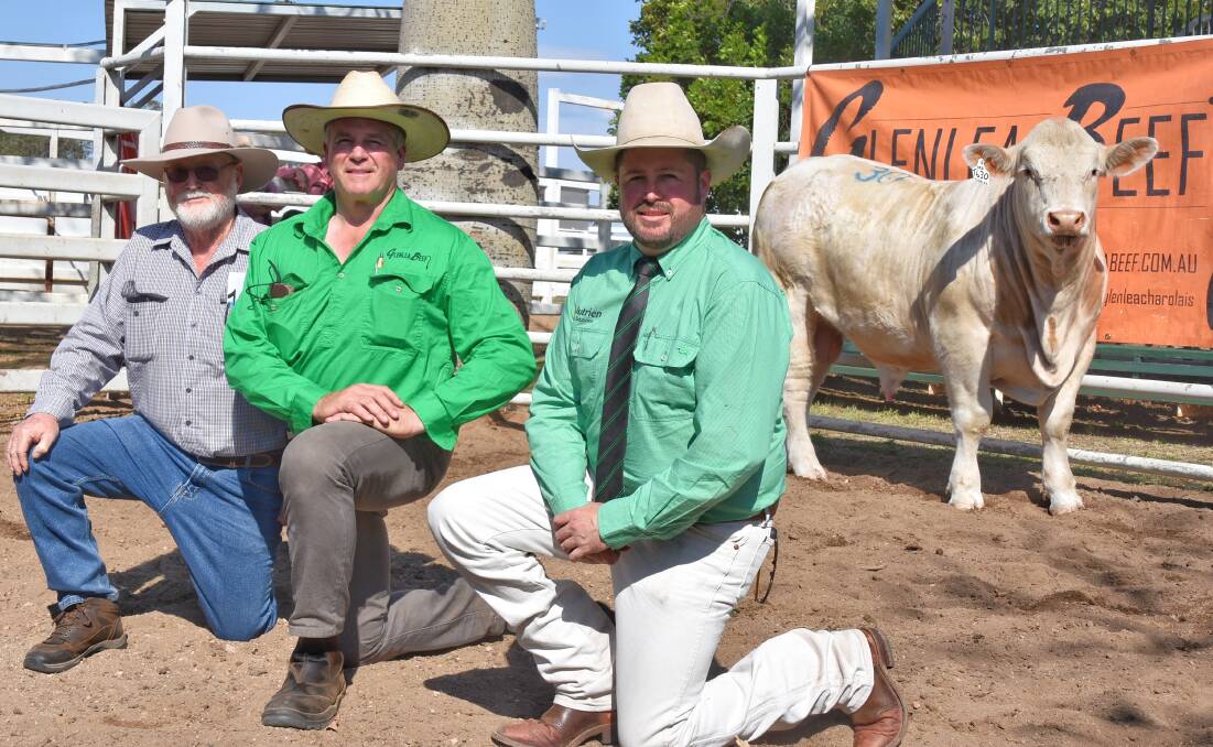 At 10-months-old, Glenlea Muscles T630 attracted the top price for yearling bulls and the entire draft on the day. Picture: Ben Harden 