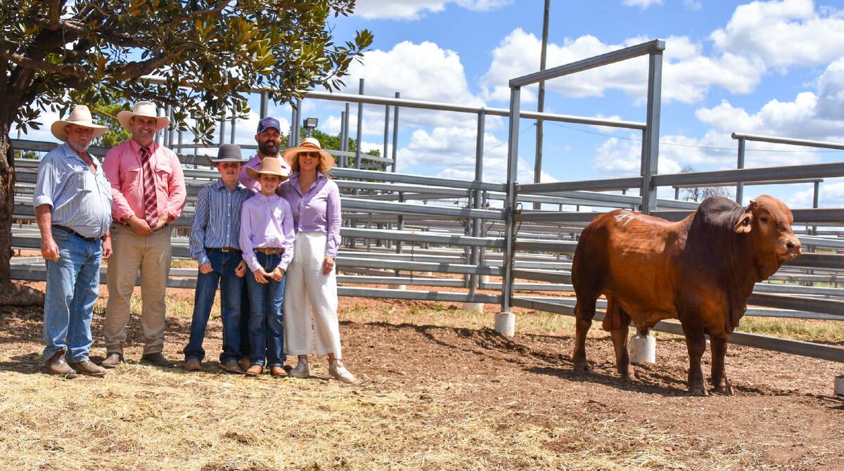 Sale top price bull, Redskin 81, with vendor Ken Rutherford, Redskin Droughtmasters, auctioneer Anthony Ball, Elders Stud Stock, and buyers Ryan and Chloe Hodgkinson, with their kids Duke, 13, and Denbi, 10, of Cairo Cattle Co, Clermont. Picture: Ben Harden 