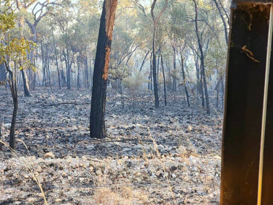 A photo taken on the boundary between the White Mountains National Park and a neighbouring property. Picture supplied by Katter Australian Party 
