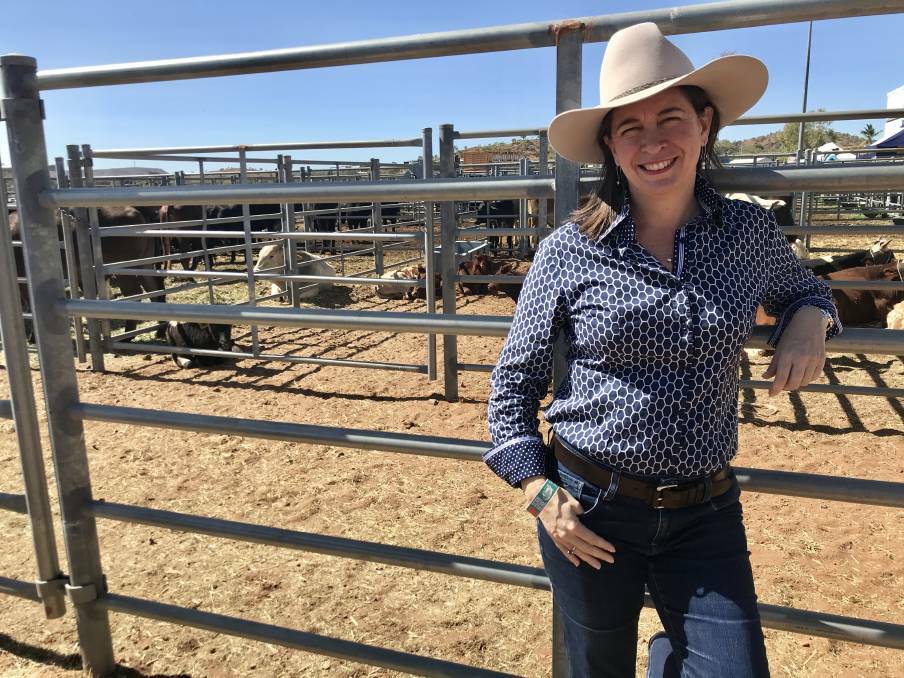 Queensland Senator Susan McDonald has been promoted as Special Envoy for Northern Australia in Nationals Leader Barnaby Joyce's party reshuffle. 