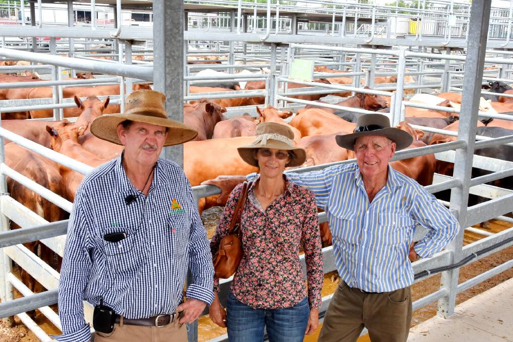 Emerald Sales: Livestock agent Greg Hardgrave of CRT Country Co, Blackwater, with vendors Trudy and Bruce Roberts of Callistemon Cattle Co, Springsure, pictured with their pen of Santa x Angus heifers which sold for $2620 per head. Photo: Ben Harden