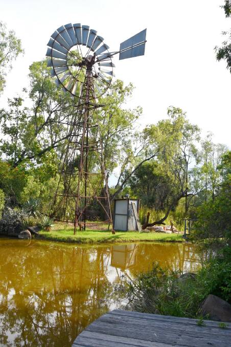 On the banks of the backyard pond, lies the Harrold family's very own wind mill. 