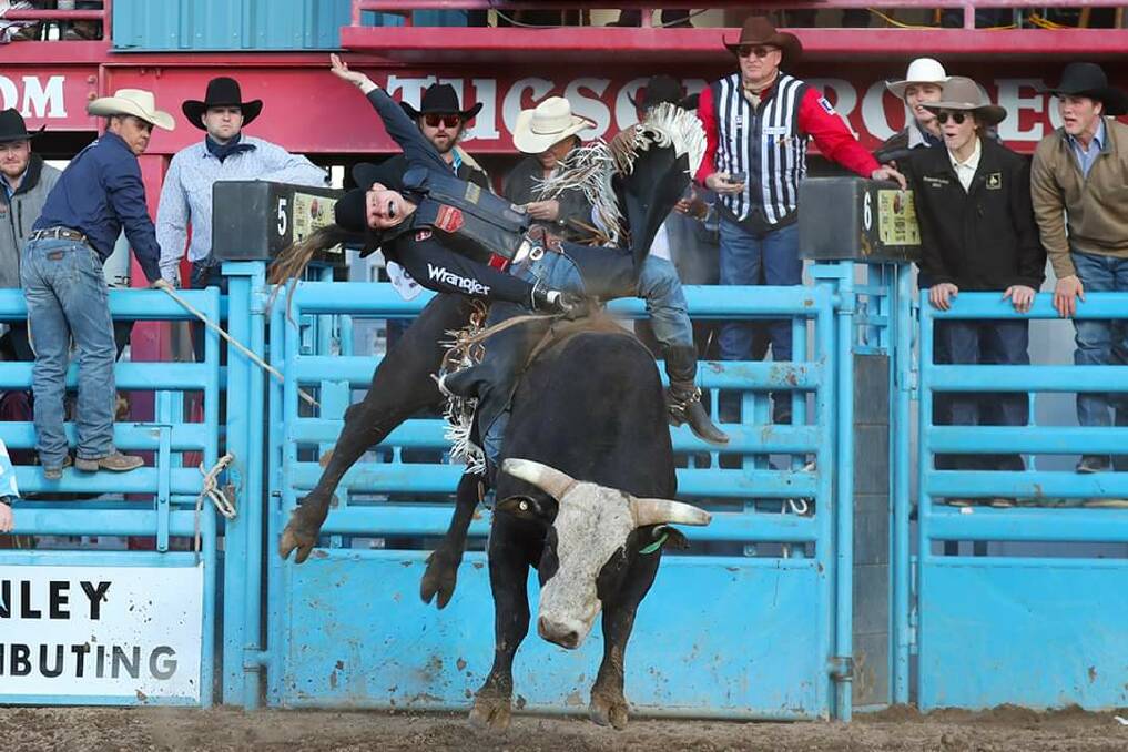 Kyle Hamilton scores 89.50 on Greeley Hat Works Viper at the 2023 La Fiesta de los Vaqueros Tucson Rodeo at the Tucson Round grounds. Picture supplied 
