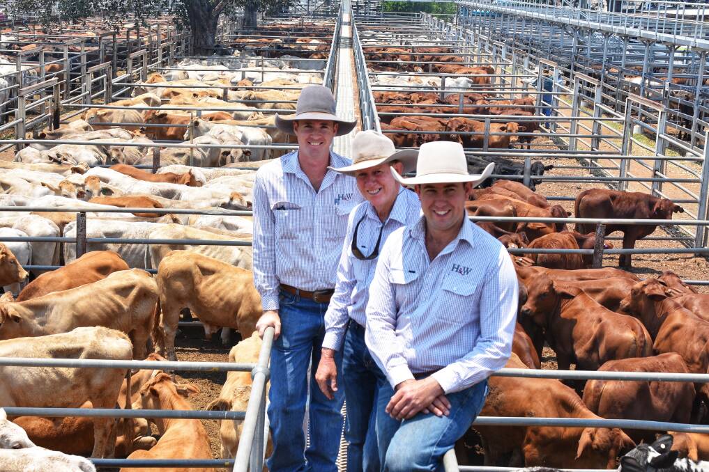 Hoch & Wilkinson livestock representatives Jack Ward, Tony Hoch, and Jake Passfield. Picture: Ben Harden 