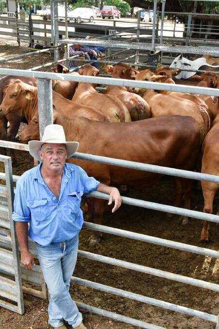 GRAZIERS OFFLOAD: DJ Pastoral manager Ben Nolan, Bulldarby, Daintree River, sold 13 Droughtmaster steers, on behalf of David and Jean Barry, for 476.2c/kg at Tuesday's prime and store sale. Picture: Ben Harden