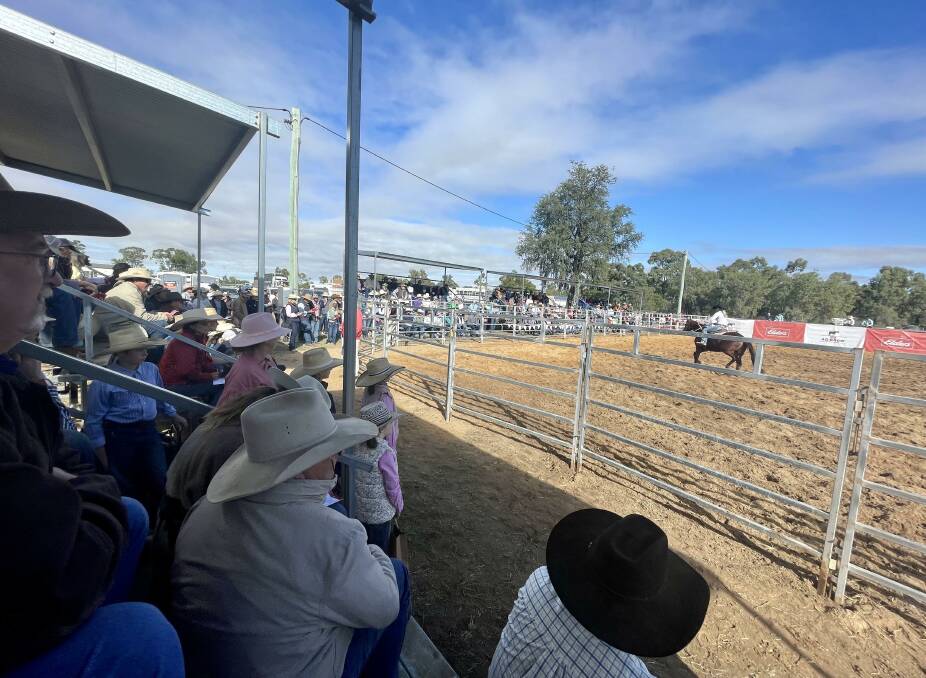 Crowds flocked to the annual horse sale held at the Ag-Grow elite horse sale, where there was only-standing room. 