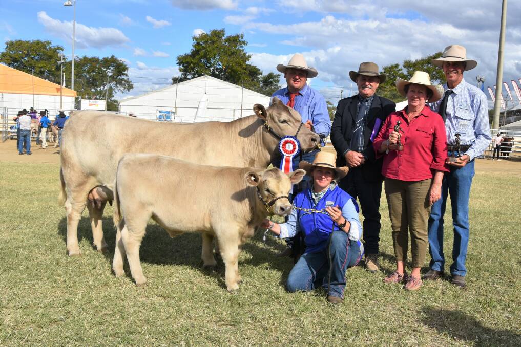 Grand champion Square Meaters Female: Oakvale Never Enough led by Troy Nuttridge, TLC Fitting Service, and her calf led by Samantha Sewell, with judge Grame Hopf and owners Gary and Heather Sewell, Oakvale Square Meaters, Wandai.
