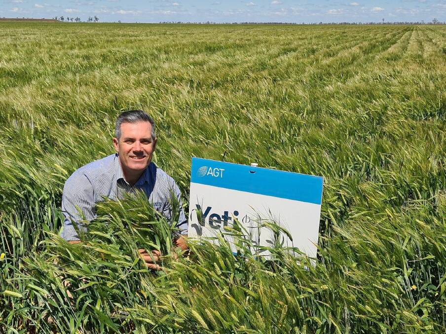 YIELD SUCCESS: AGT barley breeder Stewart Coventry is expecting big things from new barley variety Yeti set to be released for growers for 2022 sowing.