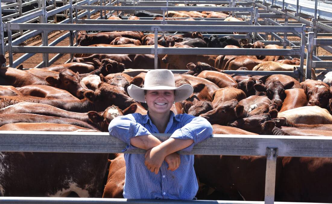 GDL Roma's Larissa Thompson with her family's 83-head Shorthorn cross steer line, which the top pen made 366.2c/kg, weighing 309kg, and returned $1132/hd. Picture: Ben Harden 