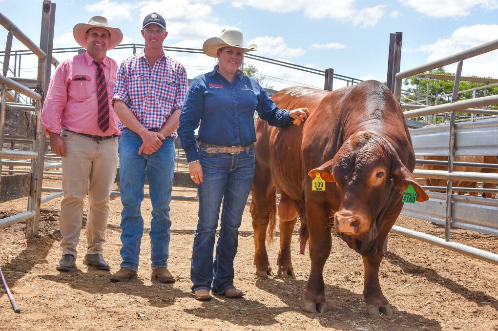 Mungalla 4160 sold for $42,500 on the day and is pictured with Elders' Stud Stock agent Anthony Ball, buyer Jack Stewart-Moore of Telemon Droughtmasters, Dunluce Grazing, Hughenden, and vendor Kylie Grahman, Mungalla stud at Farnham, Taroom. Picture by Ben Harden 