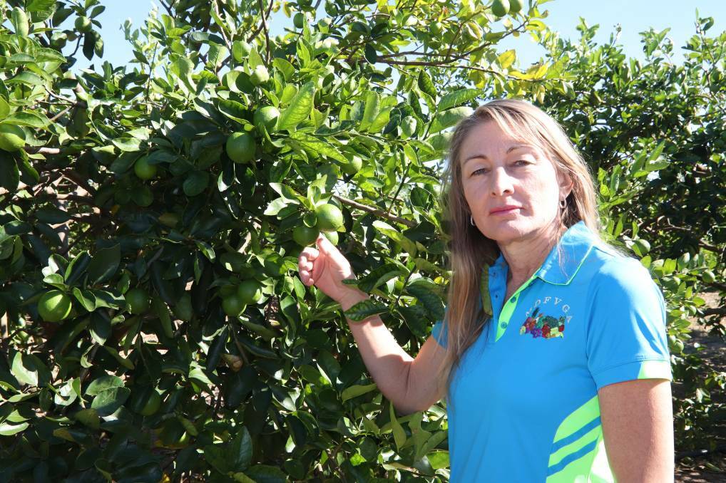 Mutchilba citrus farmer Karen Muccignat from Muccignat Farming said the lives and livelihoods of hundreds of family farms on the Atherton Tablelands were at risk if the imports were allowed in.