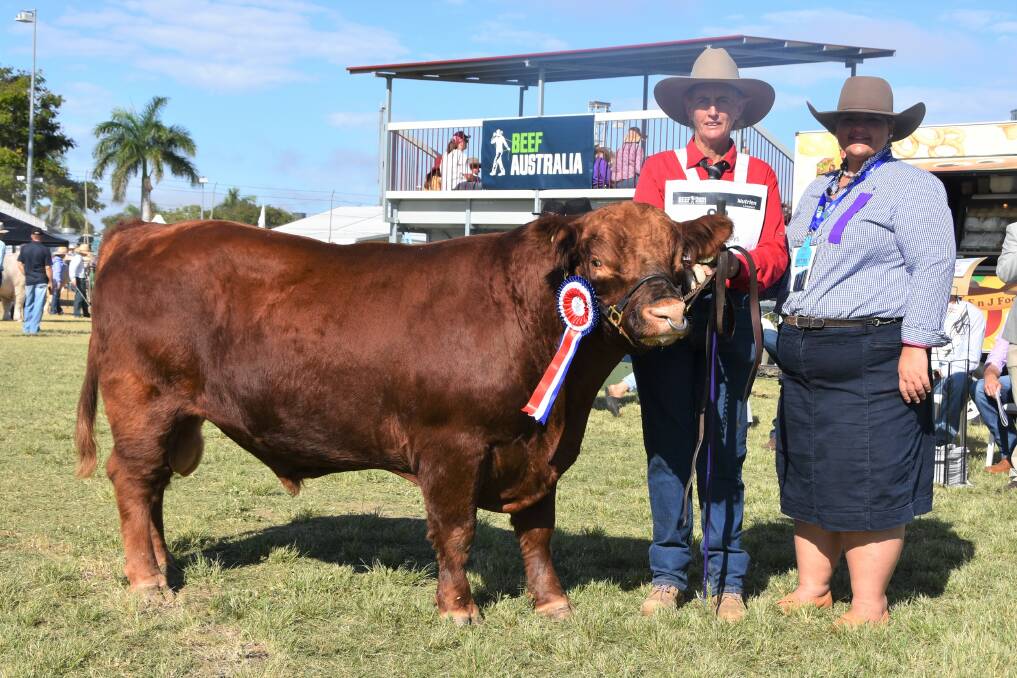 Grand Champion Ausline Bull: Vitulus Positively Red exhibited by Cole Glen stud, with Debbie Cole, Cawarral, and judge Tammie Robinson.