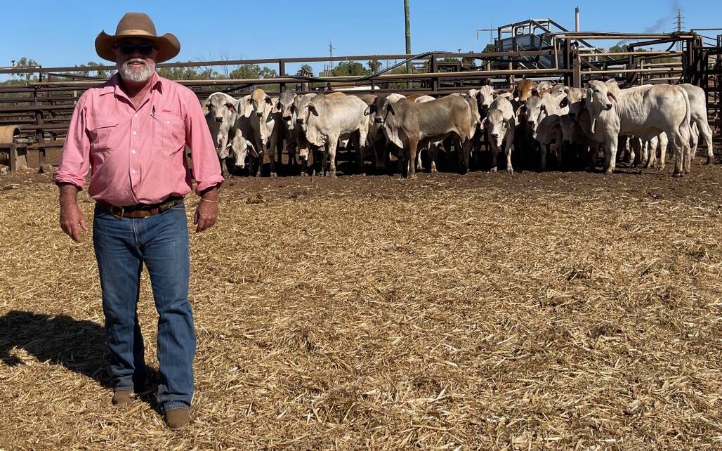 Elders Rural Mount Isa branch manager and livestock agent Sonny Siemer. Photo supplied.
