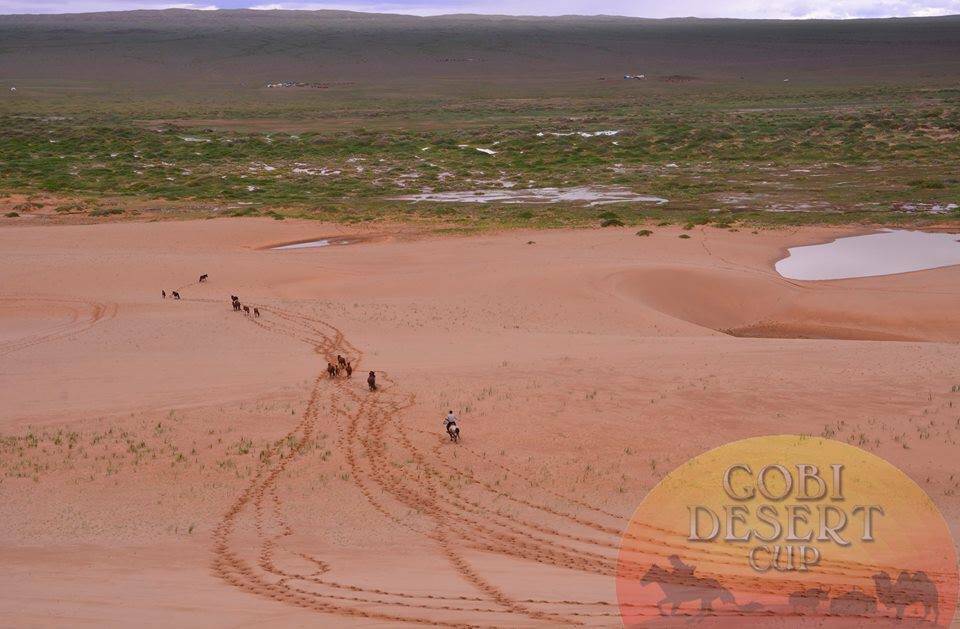 The Gobi Desert in Mongolia. Photo supplied.