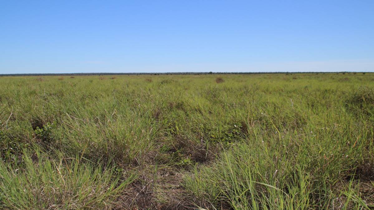 Soil health to benefit north west graziers