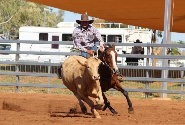 Ron Wall on Boonarra Debonarie at the 2017 Cloncurry Stockmans Challenge and Campdraft. Photo: Samantha Campbell.