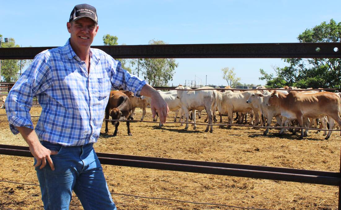 Cloncurry Saleyards manager Dustin Keyes hopes a multimillion dollar upgrade will see an increase in cattle numbers. Photo: Samantha Campbell.