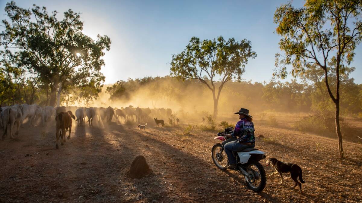 Gilberton Station conducts two rounds of mustering a year. Photo supplied.