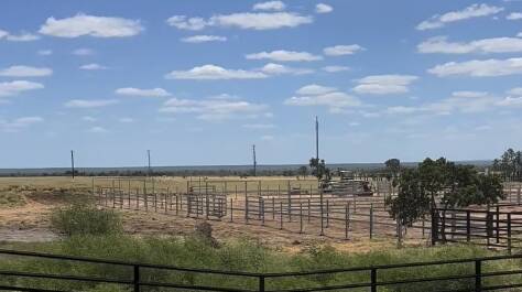 An expansion at Hughenden Saleyards has just been completed resulting in four new yards and laneways. Photo supplied.