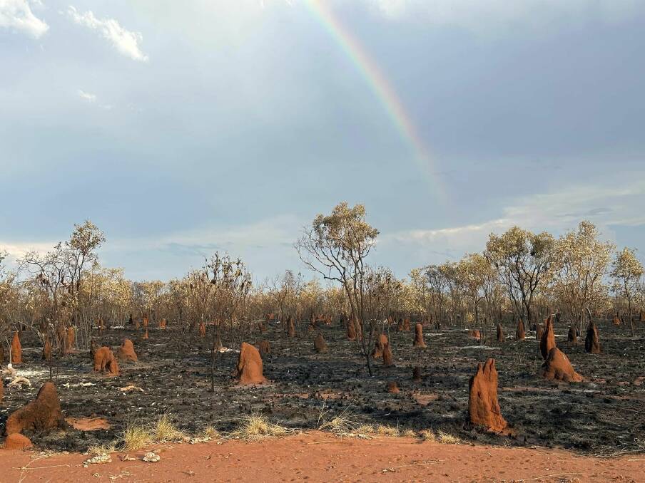 Producers are hoping for rain, after losing grazing country to electrical storms. Photo: Jacqueline Curley.
