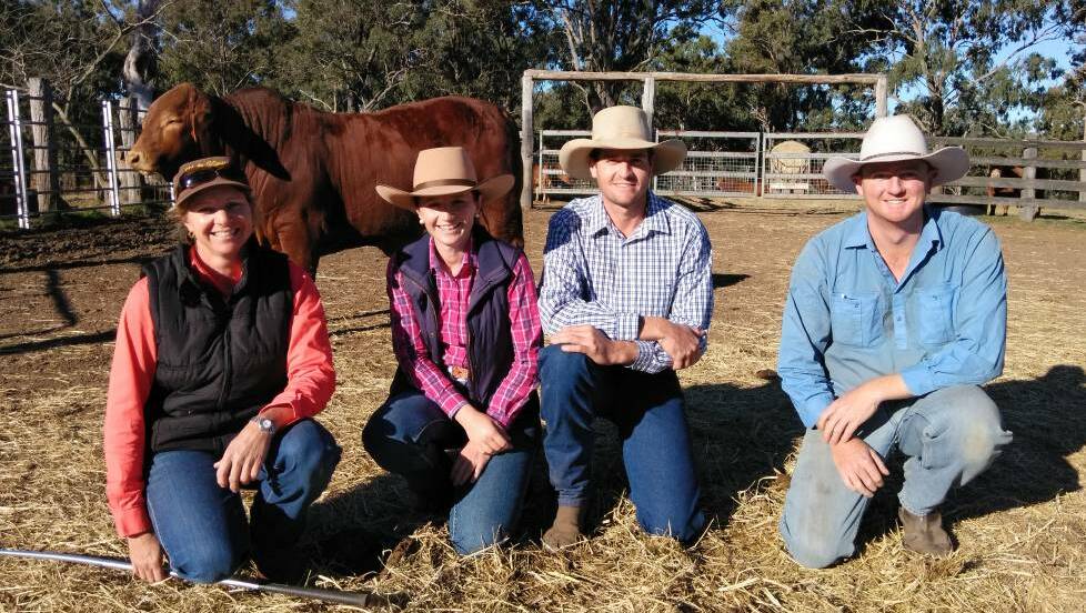 Colleen Smith, Vale View Droughtmaster stud, Manumbar, showing Kristy and Dan Boswood, Kaniel stud, Rockhampton, and Scott Gittens, Barambah, around their Southern Beef Week stud open day in 2018. 