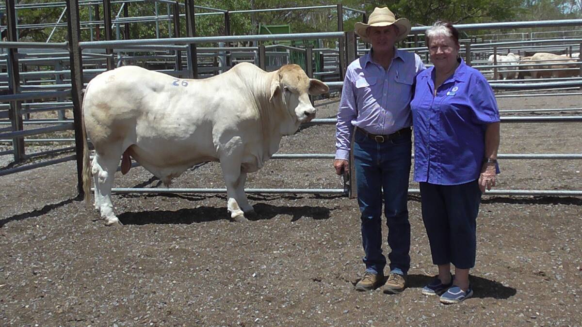 Vendor John Mercer and buyer Margaret McFadzen with $6000 Charbray bull Kandanga Valley Nokia.