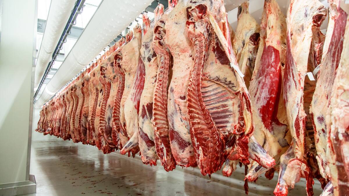 Webinar option to weigh in on red meat plan