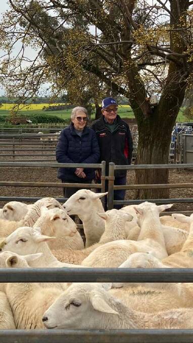 Helen and Brian McKelvie were pleased to see their line of 26 Australian White ewes achieve a record price. Photo: AuctionsPlus. 