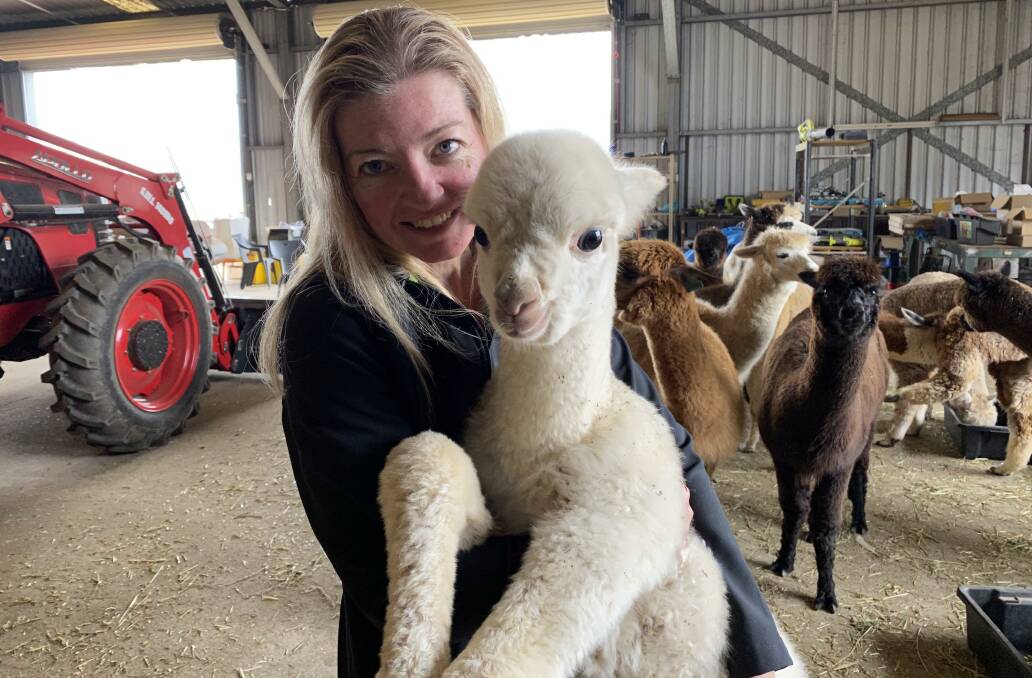 Raelene Donovan from Pocket Farm, Wivenhoe Pocket, which is opening Queensland's first commercial mill specifically tailored towards alpaca wool.