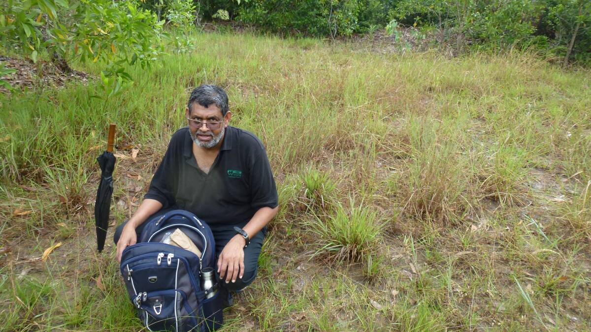 Biosecurity Queensland principal entomologist Dr Kunjithapatham Dhileepan has been in Tanzania and Kenya researching options to control Navua sedge. 