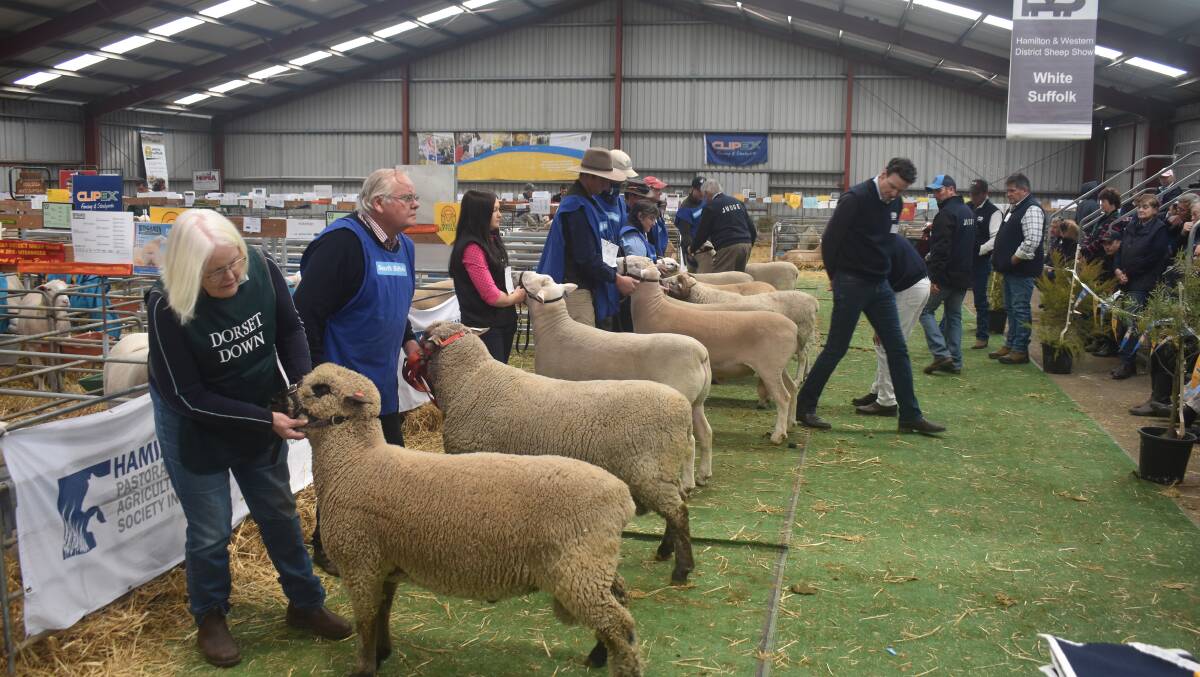 Sheepvention was last held in 2019, before the COVID-19 pandemic. 