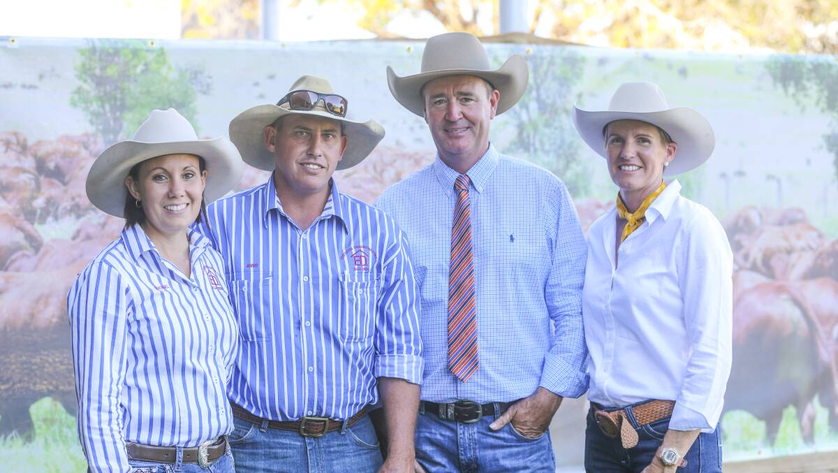 Purchasers of the top selling bull, Anglo (IVF) (H) (AI) were Rachael and Anthony Anderson, Eddington Stud, Julia Creek with Darren and Helen Childs, Glenlands Stud. Pictures: Kent Ward. 