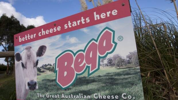 First ever Bega Cheese factory strikes planned