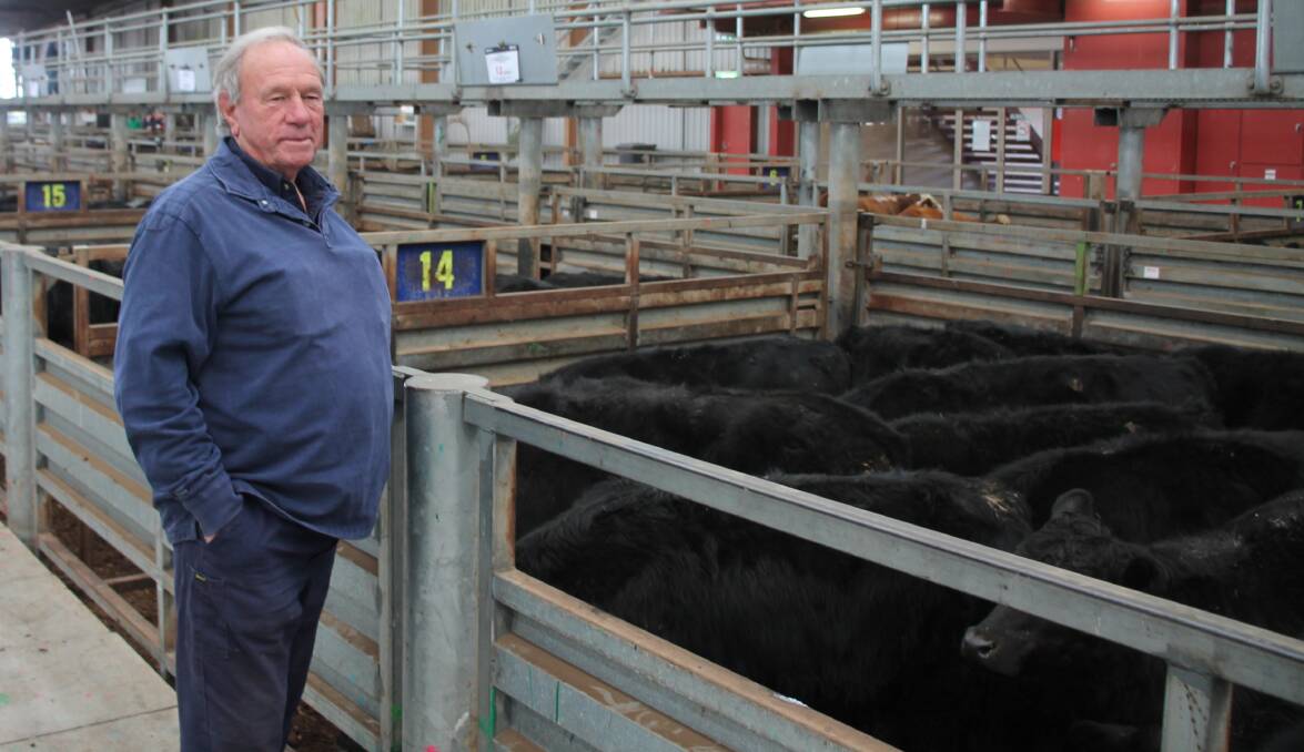 Good recent rains meant John O'Sullivan from Morelands at Tooradin, Victoria, was at the Pakenham store sale on the lookout for steers for fattening.