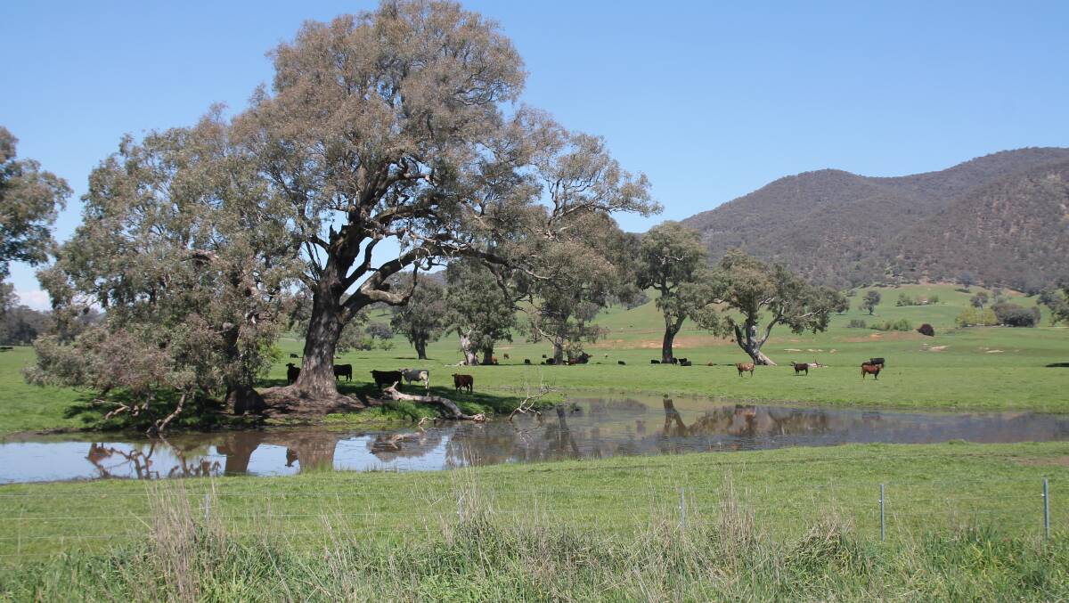 The Upper Murray has had a wet winter and a good summer season is expected.