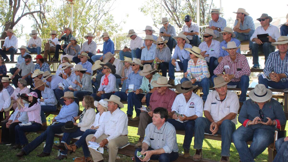A sizable crowd attended the Yarrawonga and Waco sale in 2018. Picture: Helen Walker