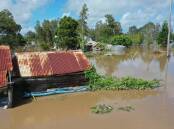 Inundated: Farmers lost infrastructure, equipment, crops and livestock as a result of a series of floods this year.