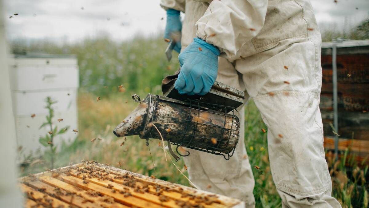 Top tech: The three start-ups use remote-sensing technologies to assist beekeepers and consumers throughout the supply chain.