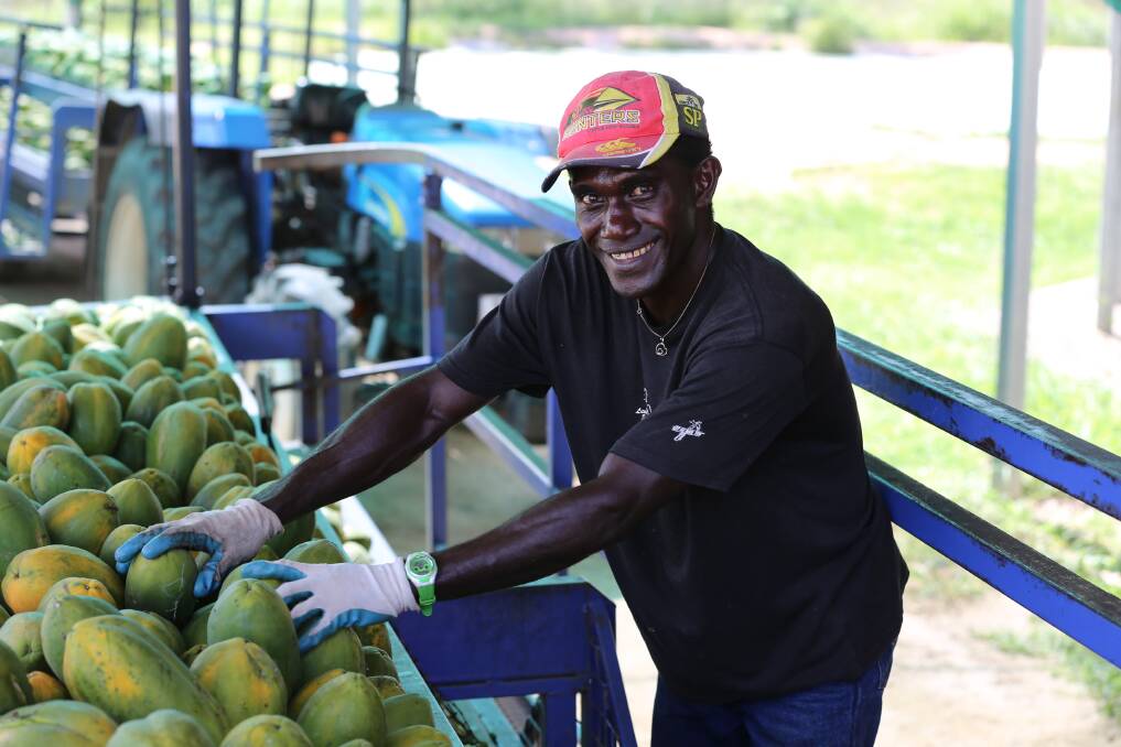 Temporary visa extensions are available for working holiday makers and those within the Pacific Labour Scheme and Seasonal Worker Program, to secure agriculture's labour workforce. 